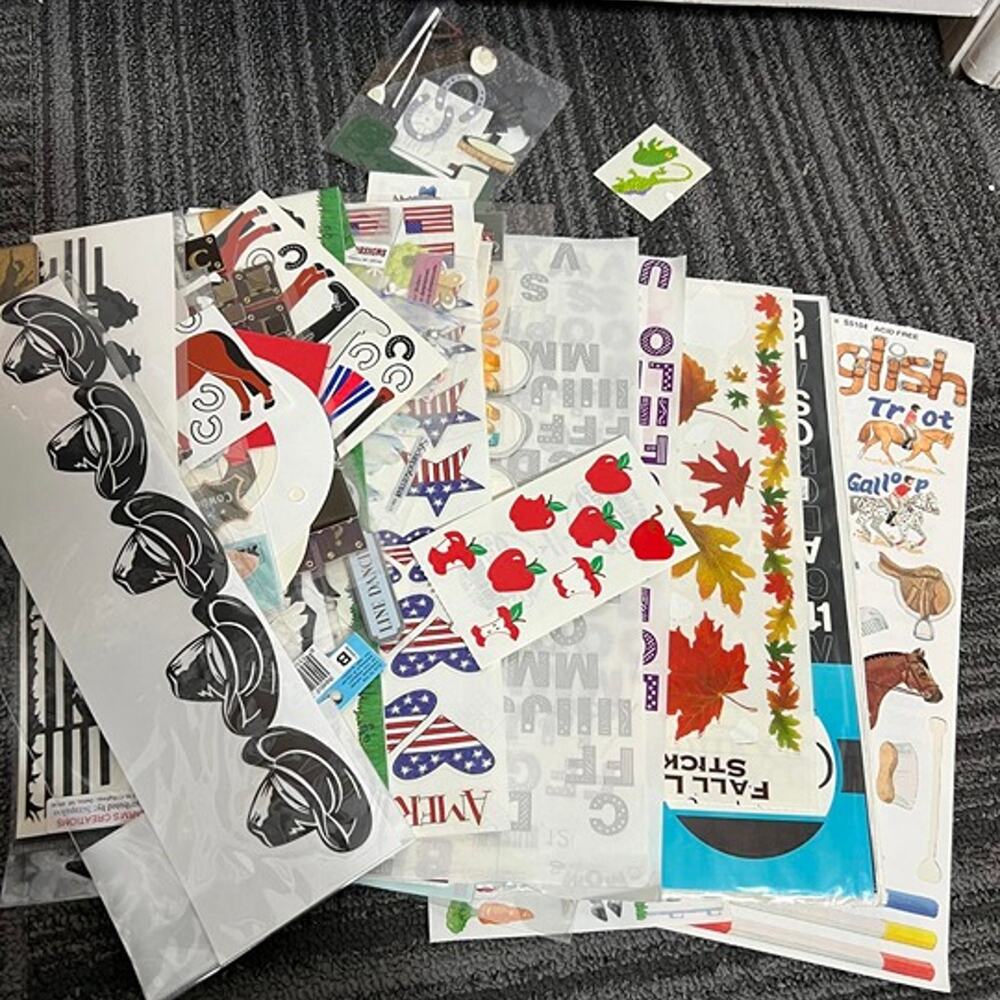Large scrapbook lot: stickers, borders, 3D embellishment. Horse/western theme